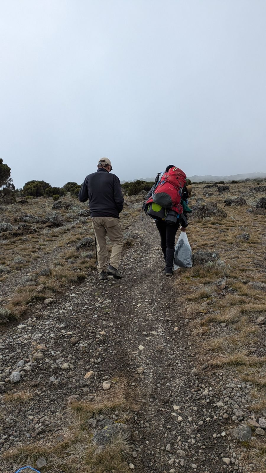 Photo from the trail to Kilimanjaro.
