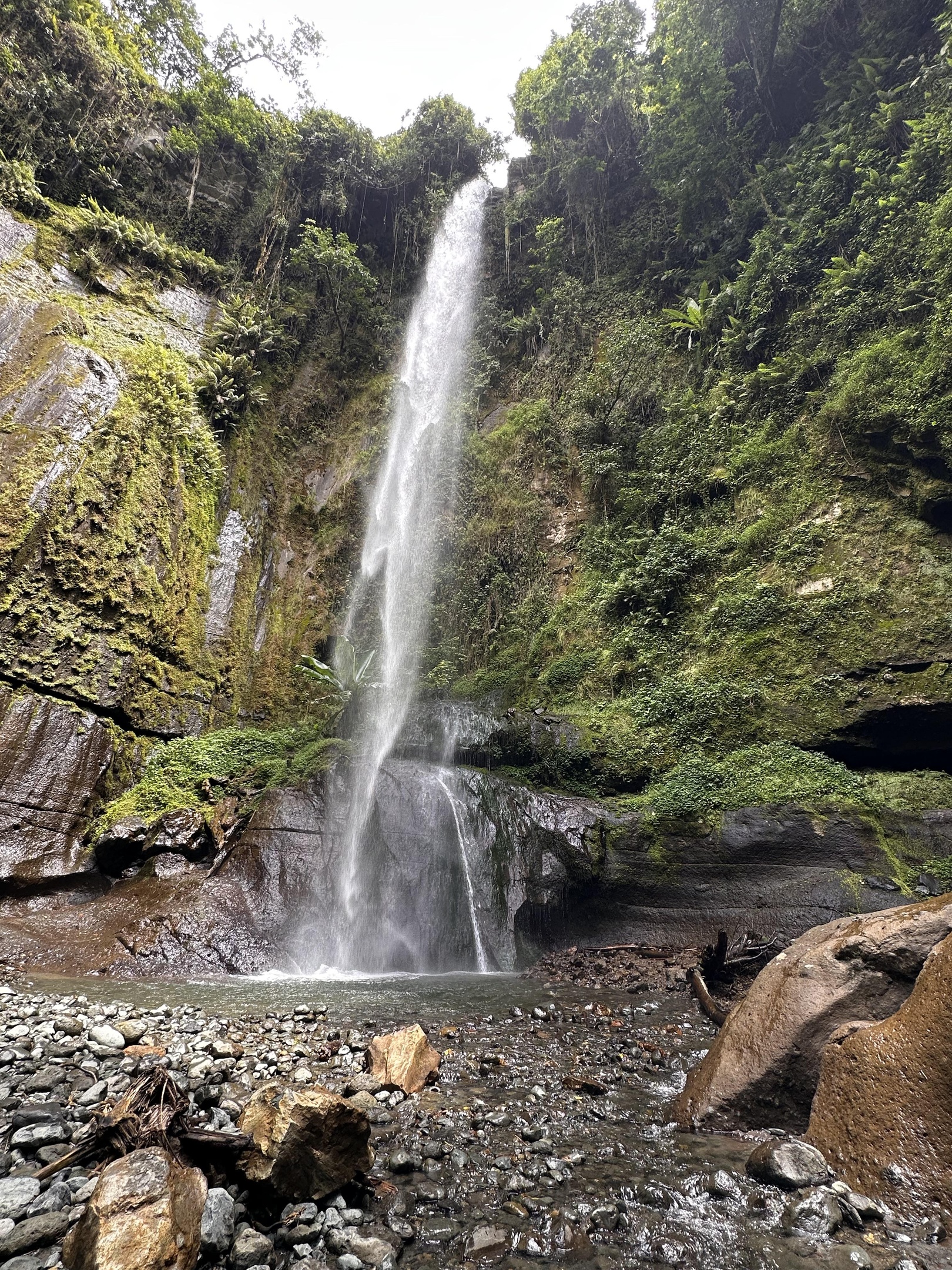 Photo from the trail to Kilimanjaro.